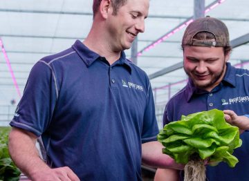 Ponerse a la vanguardia con la tecnología de iluminación LED para horticultura