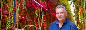 Los consumidores prefieren los tomates cultivados con LED